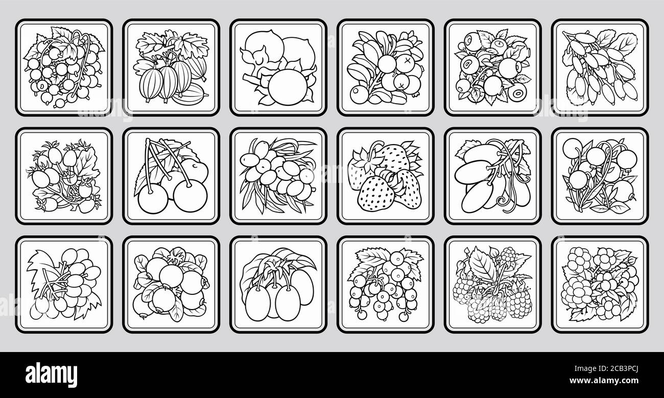 Kinder Dominosteine. Bilder mit Früchten Stock Vektor