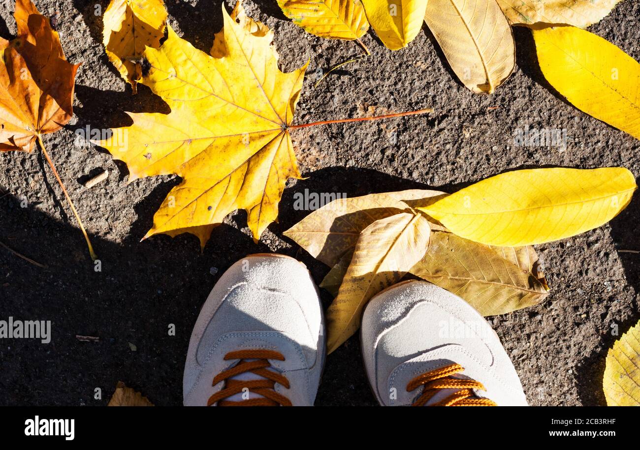 Grau graue Sportschuhe Sneakers auf dem Hintergrund der trockenen gelben Blätter auf dem Bürgersteig im Herbst fallen an einem sonnigen Tag Stockfoto