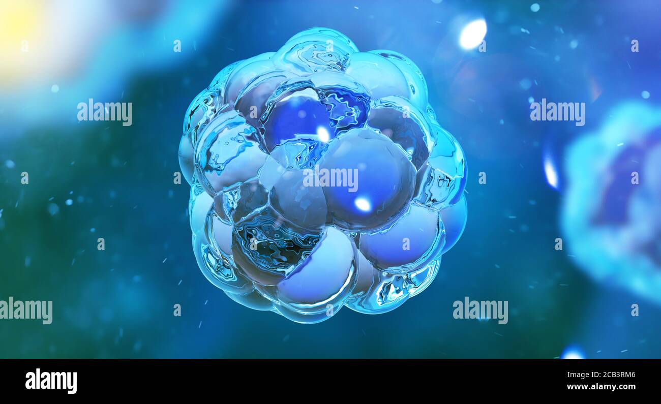 Menschliche (tierische) Zelle unter dem Mikroskop (3D-Abbildung) Stockfoto