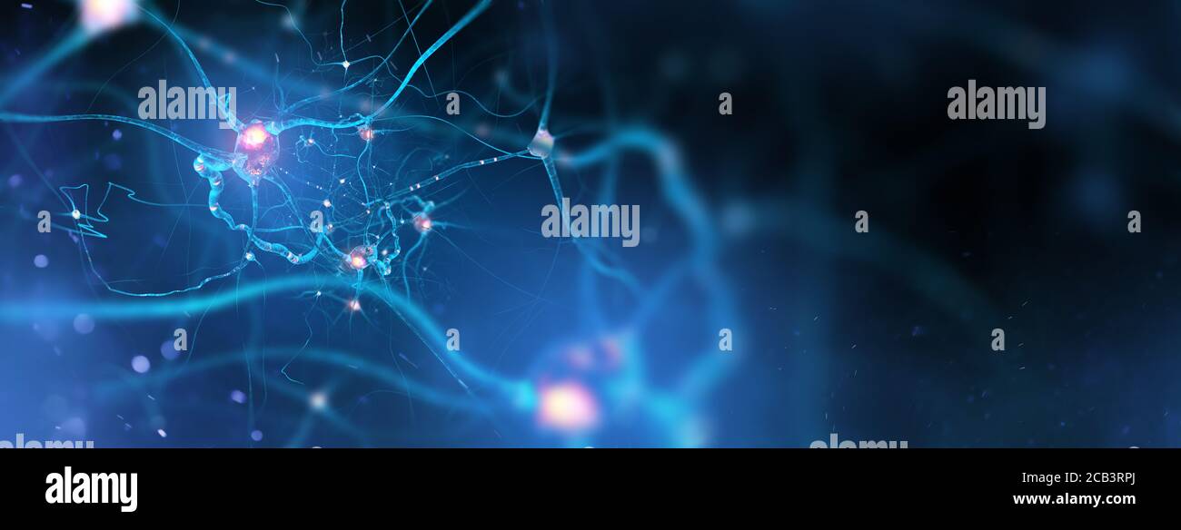 Neuronen und Nervensystem. Nervenzellen Hintergrund mit Kopierraum (3d Mikrobiologie Render Banner) Stockfoto