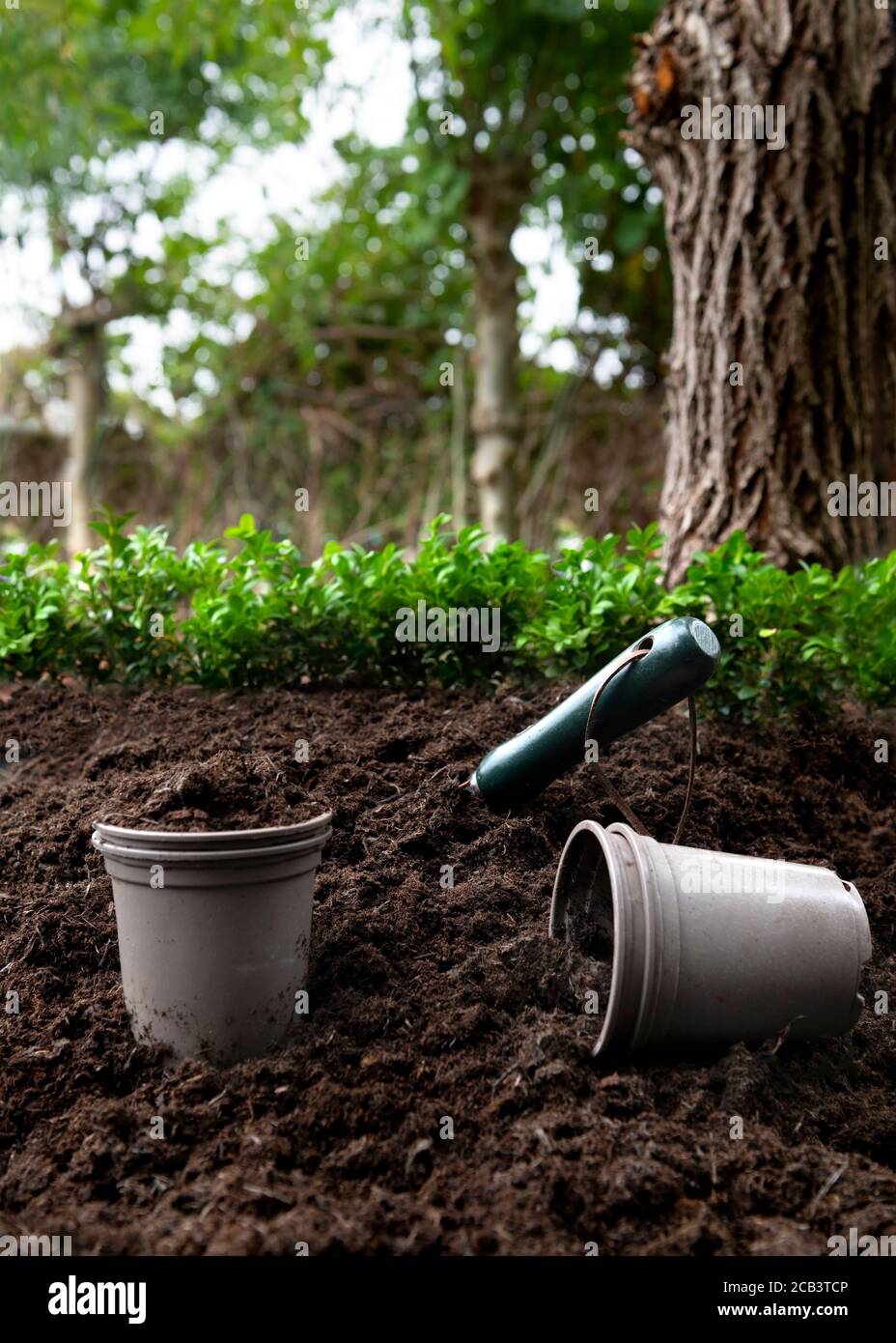 Gartenarbeit mit Topfkompost auf einem alloment oder kleinen Holding Platz für Text-Overlay b lauernder Hintergrund kopieren Stockfoto