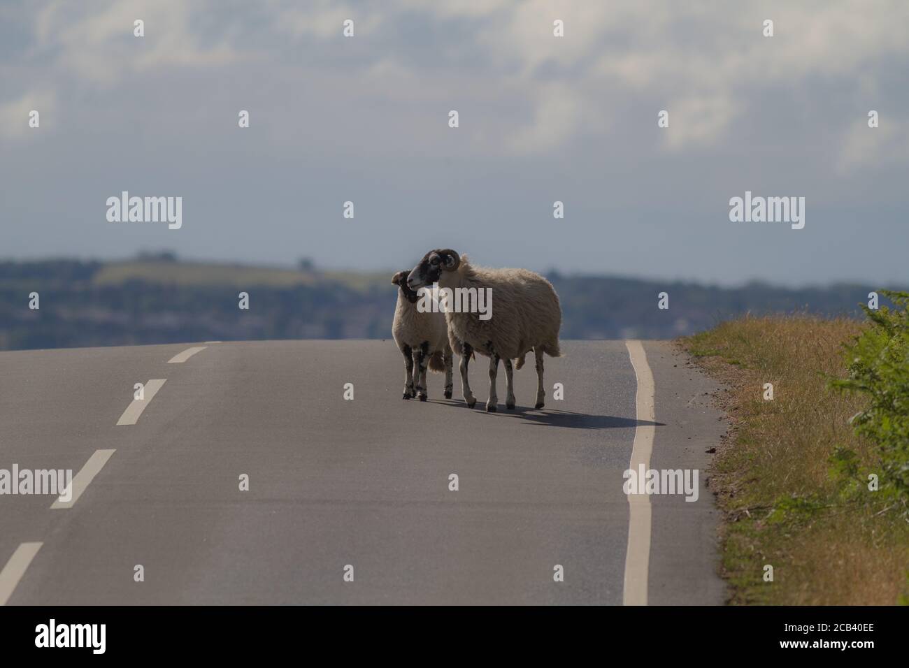 Dangerous road blind spot -Fotos und -Bildmaterial in hoher Auflösung –  Alamy