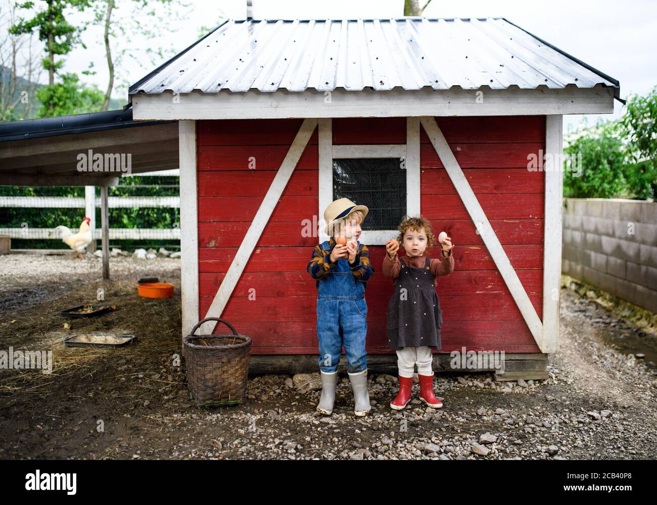 Porträt von kleinen Kindern auf dem Bauernhof stehen, halten Eier. Stockfoto