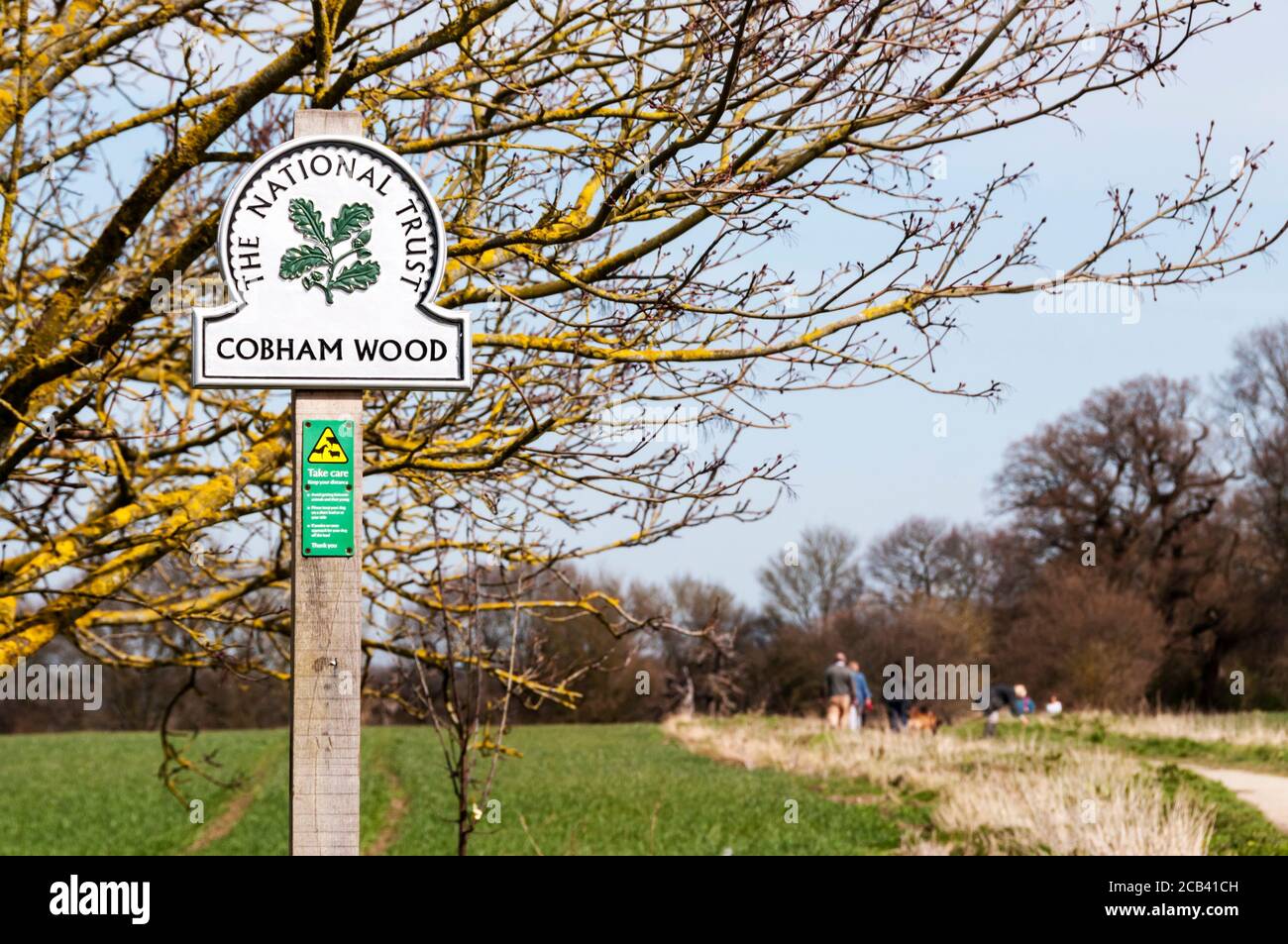 Menschen genießen die Landschaft in Cobham Wood in Kent. Stockfoto