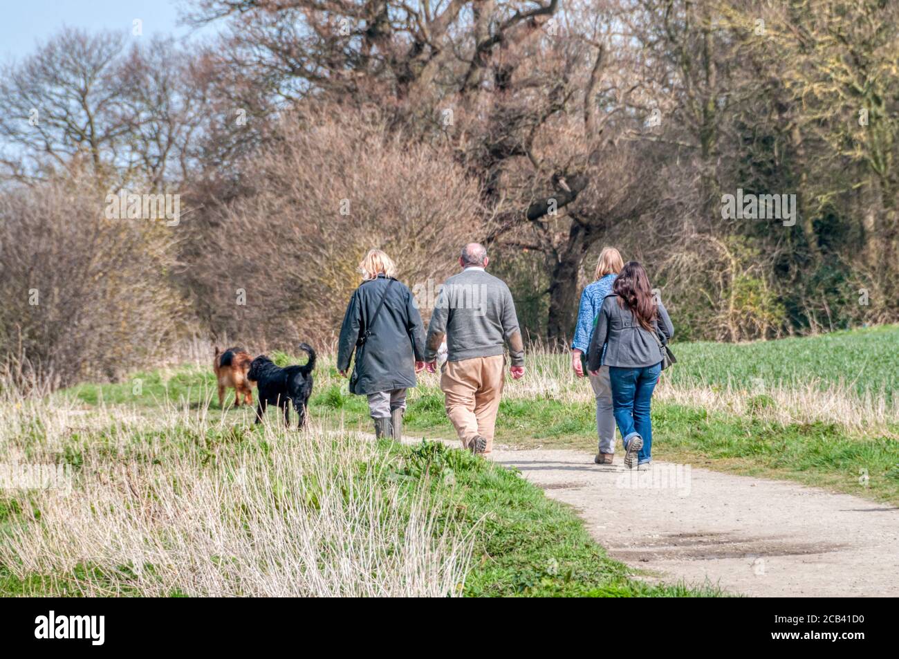 Menschen, die mit Hunden auf dem Land spazieren. Stockfoto