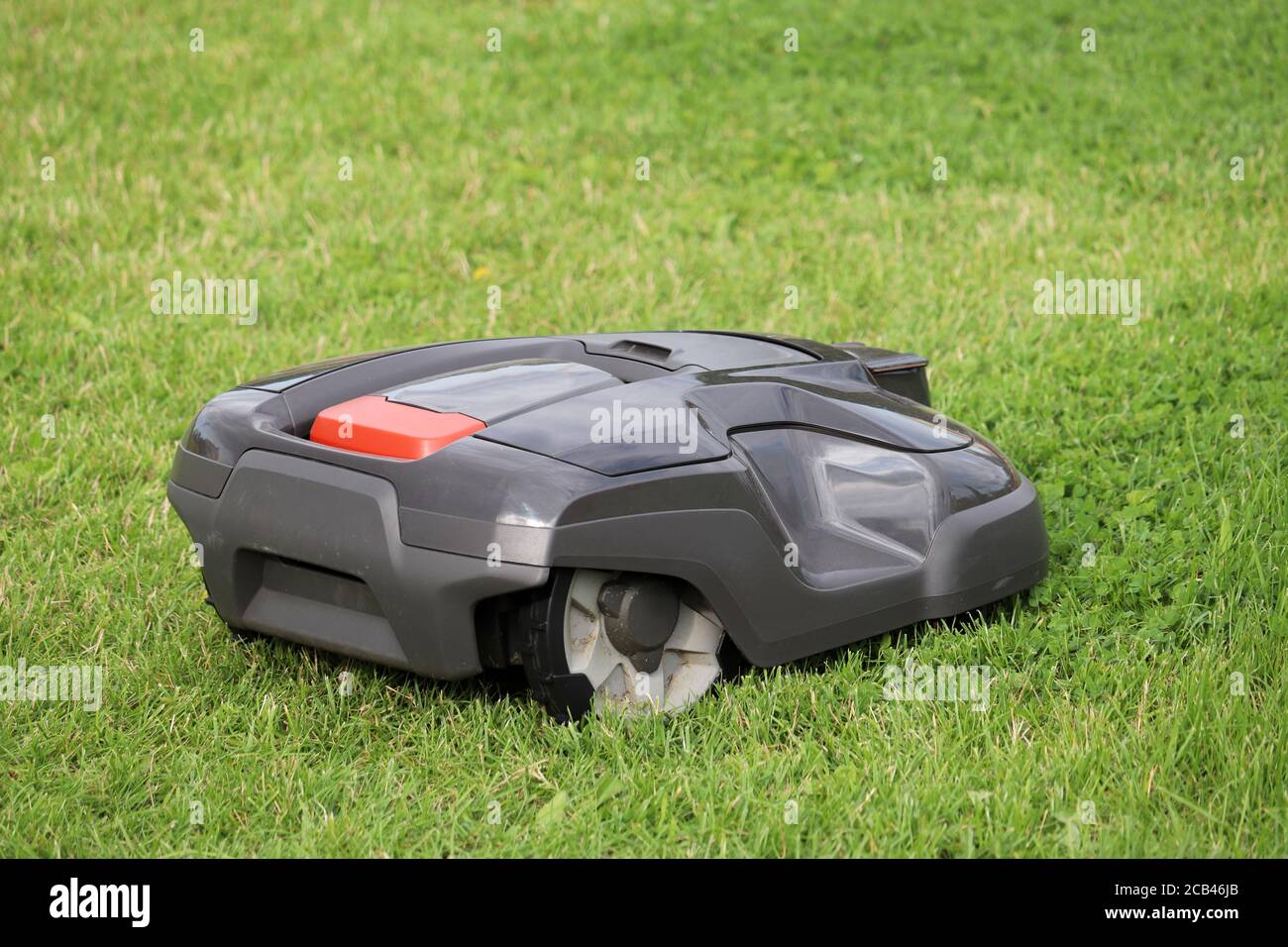 Mähroboter Rasenmäher, der Gras auf einer Wiese mäht. Automower im Sommerpark Stockfoto
