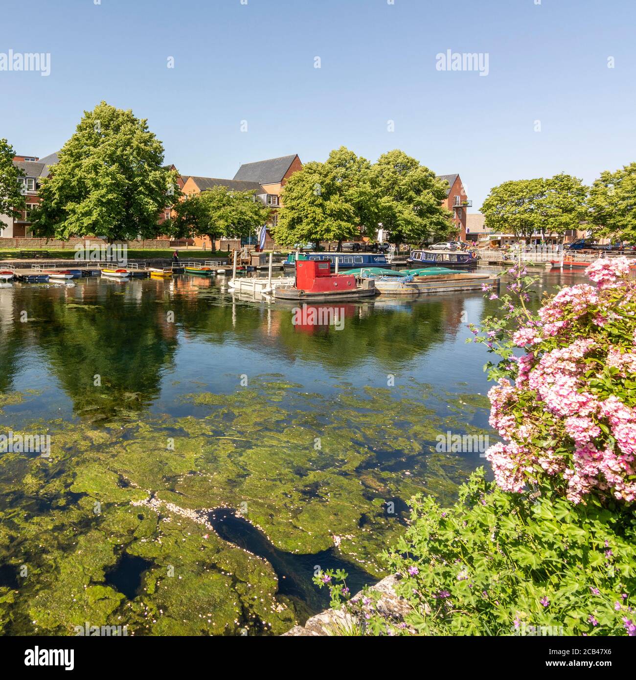 Chichester Ship Canal Basin, Chichester, West Sussex, UK. Stockfoto