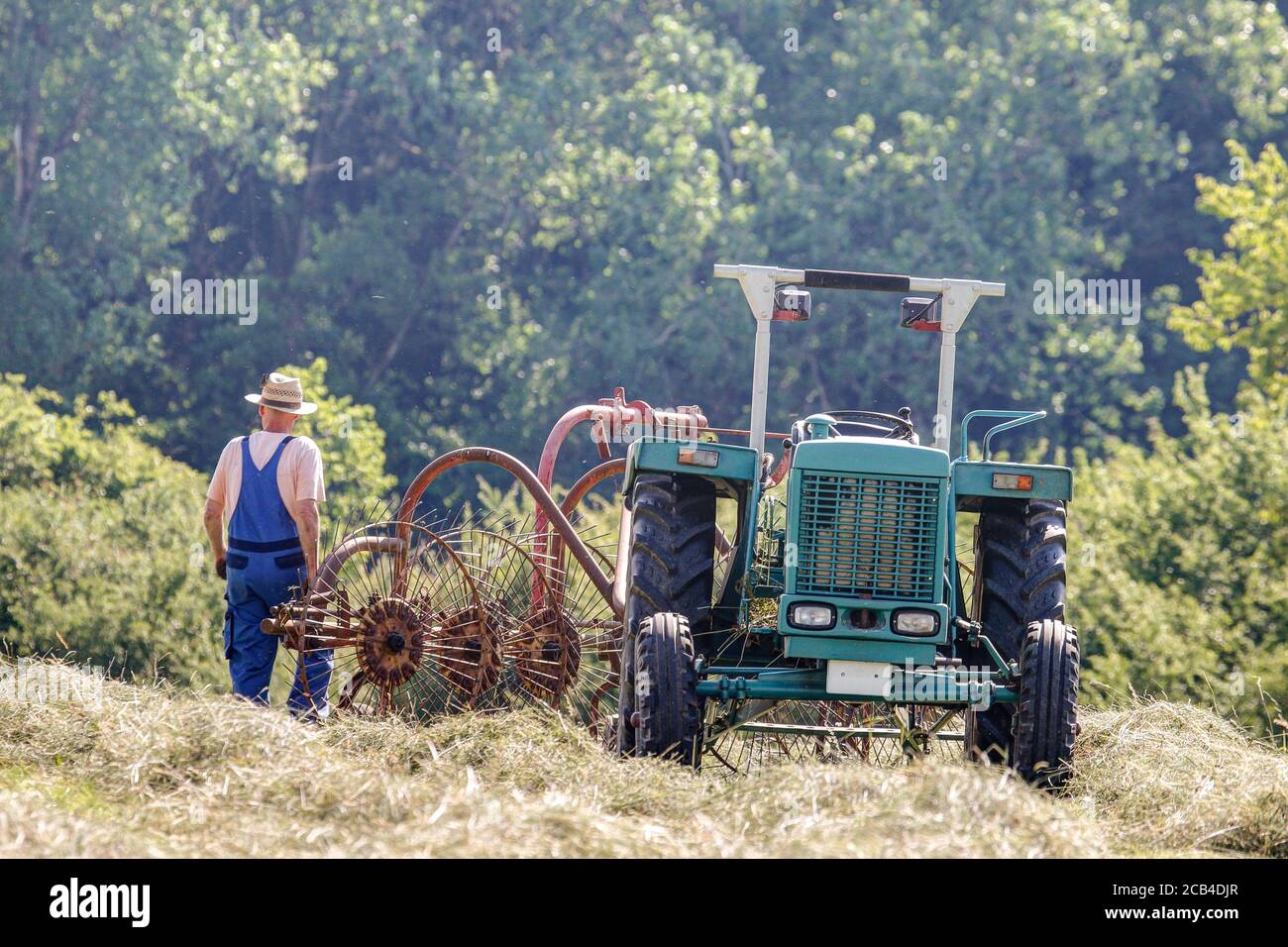 Trossingen, 24. Juni 2020. Der Bio-Bauer parkte seinen alten Traktor mit dem Sternrachen auf dem Feld und überprüfte das Bio-Heu Stockfoto