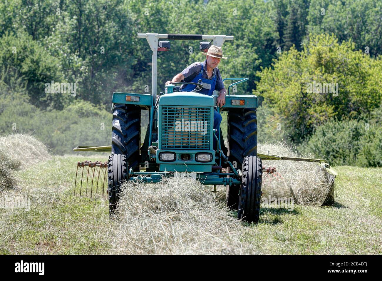Trossingen, 25. Juni 2020. Bio-Bauer mit seinem alten Traktor und Rechen arbeiten das Heu. Der Schwad wird benötigt, um das Heu weiter zu verarbeiten. Stockfoto