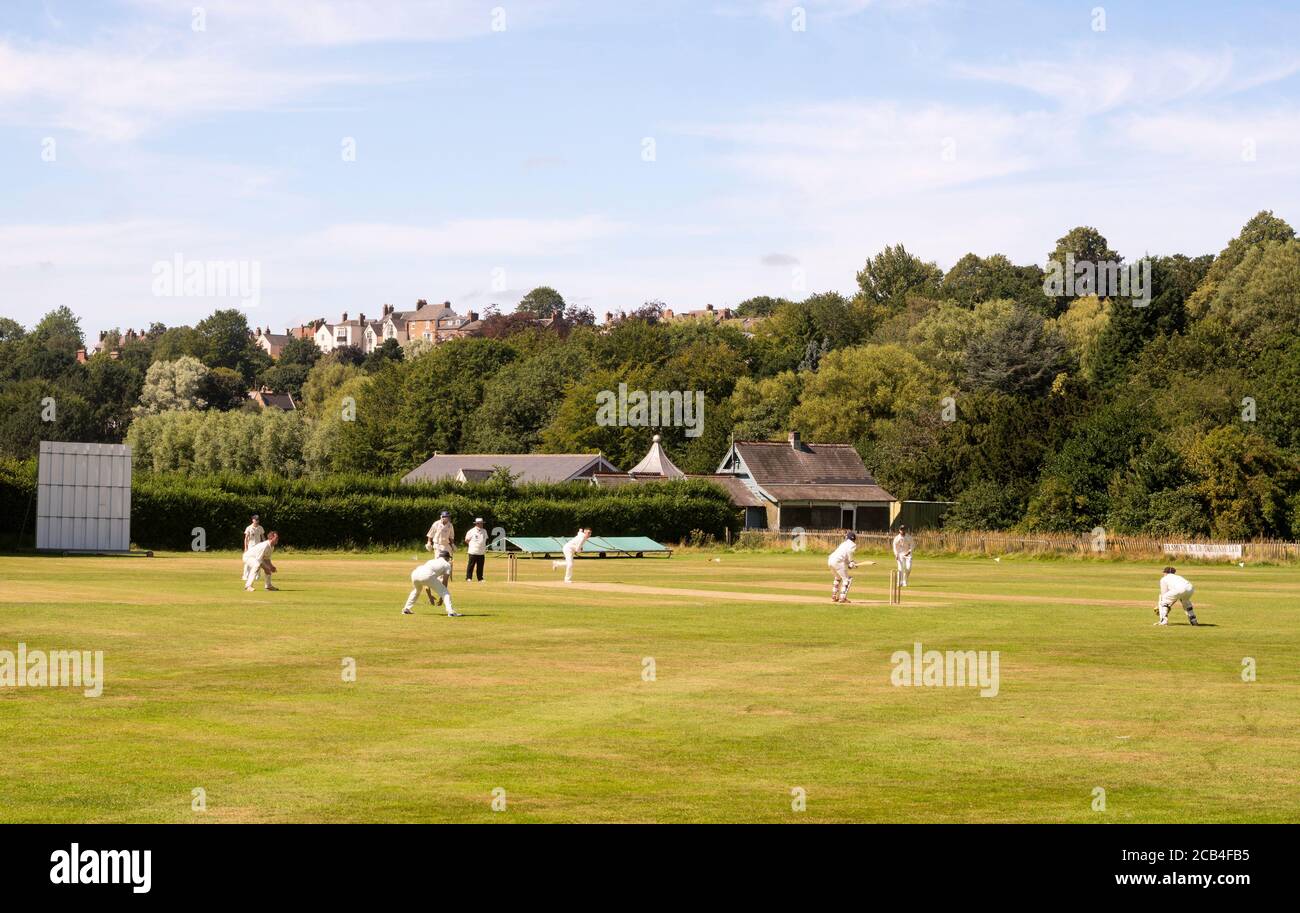 Cricket spielen in Durham City Cricket Club, Co. Durham, England, Großbritannien Stockfoto