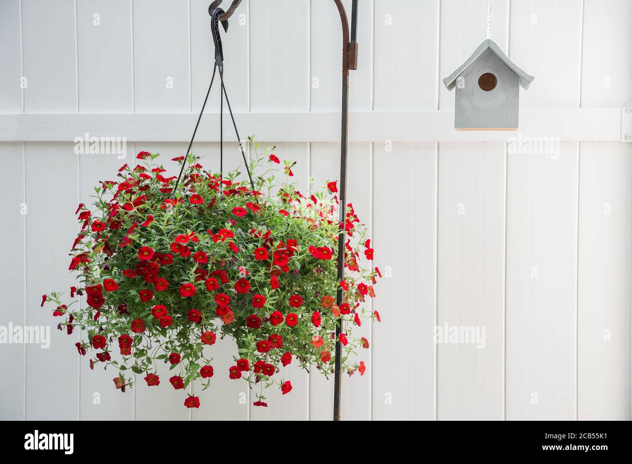 Mini Petunias aka Million Glocken und ein verwittertes Vogelhaus gegen einen weißen Zaun. Stockfoto