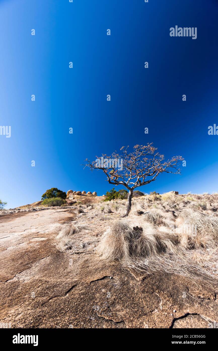 Matobo Hügel, Landschaft von 'World's View', dramatische natürliche Felsformationen, Matobo Nationalpark, Bulawayo, Matabeleland Süd, Simbabwe, Afrika Stockfoto