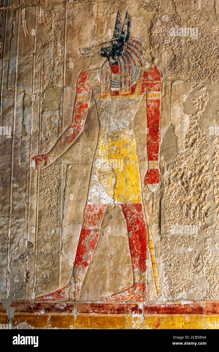 Ein eingraviertes Relief, das Anubis, den hundegott der Toten, im Totentempel der Hatschepsut in Deir al-Bahri in Luxor in Ägypten darstellt. Stockfoto