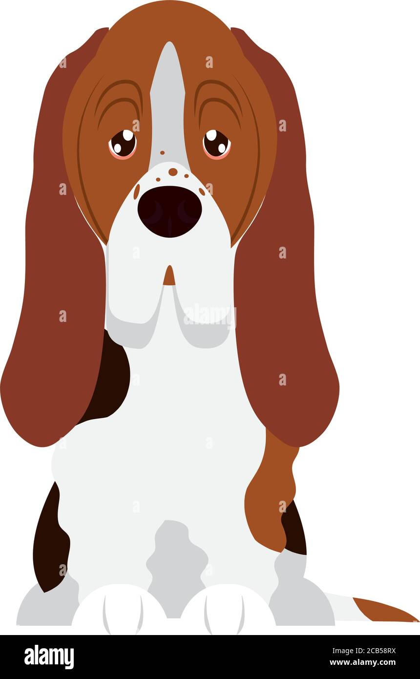basset Hund Symbol auf weißem Hintergrund, flache Stil, Vektor-Illustration Stock Vektor