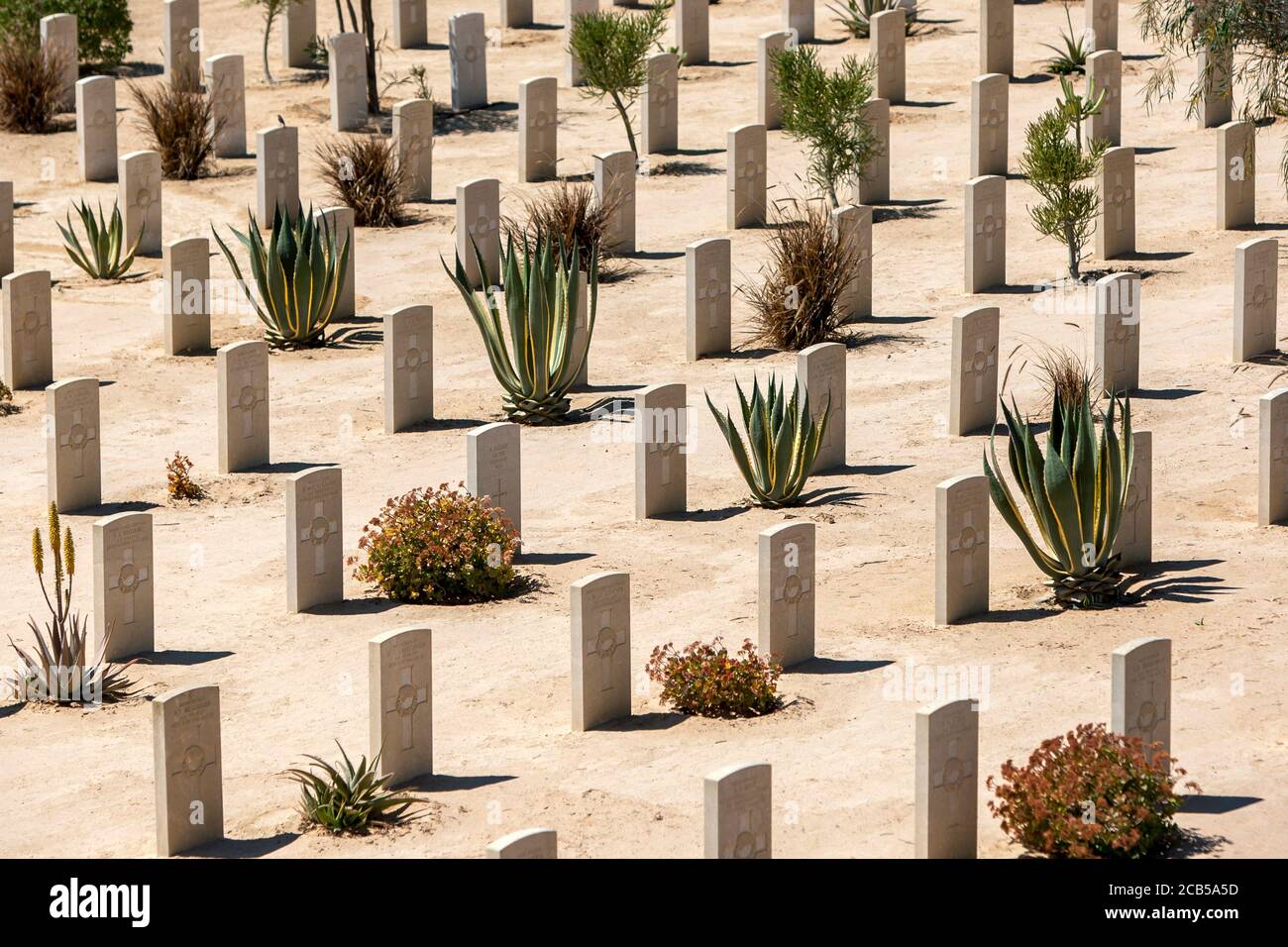 Commonwealth Kriegsgräber auf dem El Alamein Kriegsfriedhof in Alamein in Ägypten. Der El Alamein Kriegsfriedhof enthält die Gräber von Soldaten, die im 2. Weltkrieg starben. Stockfoto