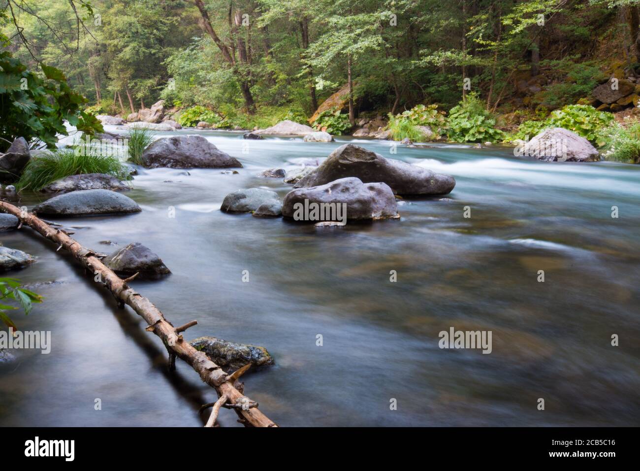 Flussansicht von Langzeitbelichtung Bild zeigt Felsen, milchiges Wasser grüne Waldvegetation und toten Baum im Wasser Stockfoto