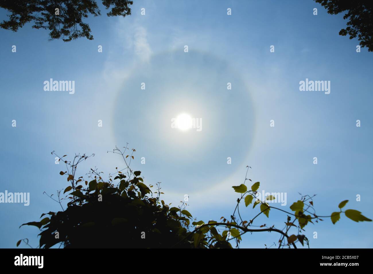 Atmosphärischer optischer Effekt umkreist die Sonne am heißen Sommertag. Atmosphärisches Halo-Phänomen um die Sonne Stockfoto
