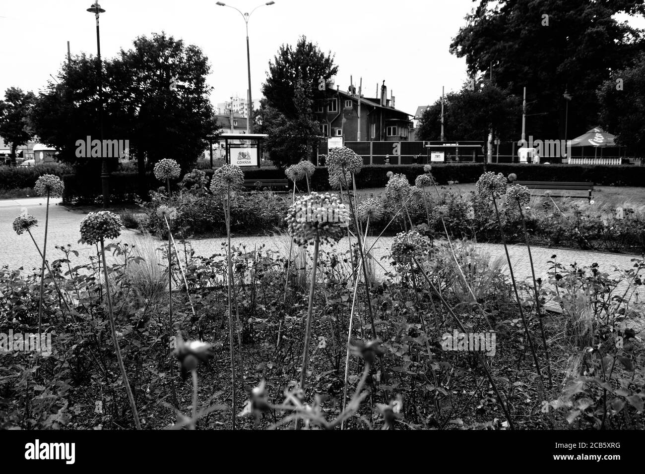 Ein schöner Park in einem Wohngebiet von ​​Gdansk. Natur im Dienste der Bewohner. Gdansk Brzezno, Polen. Stockfoto