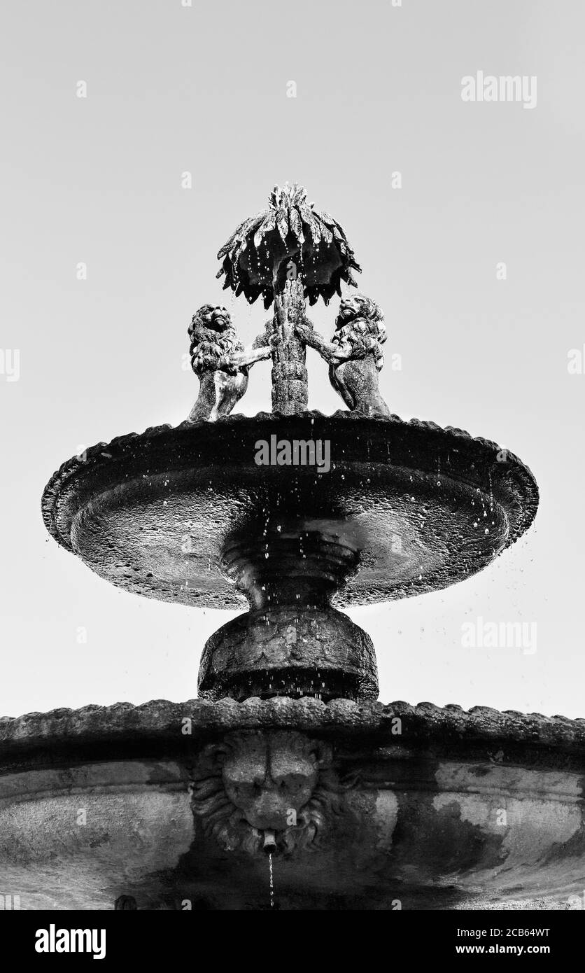Viterbo -Italien- Brunnen des Palazzo dei Priori schwarz und weiß Stockfoto