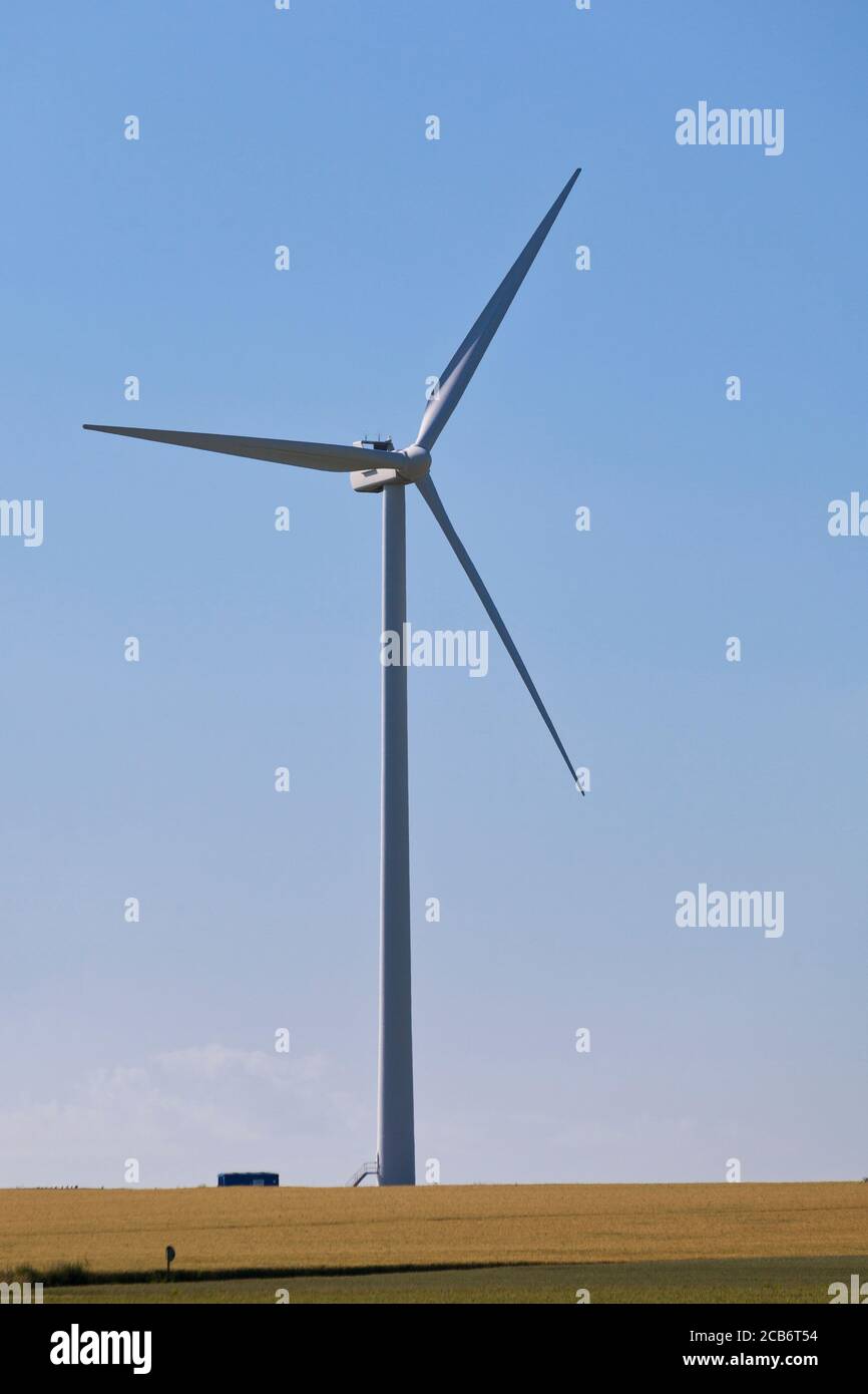 Windturbine in der Mitte eines Weizenfeldes. Stockfoto