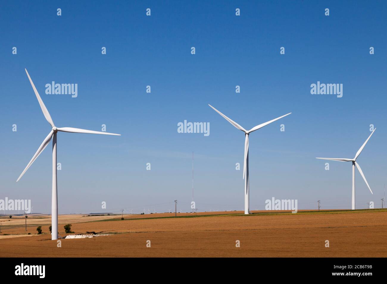Windturbinen in der Mitte eines Weizenfeldes. Stockfoto