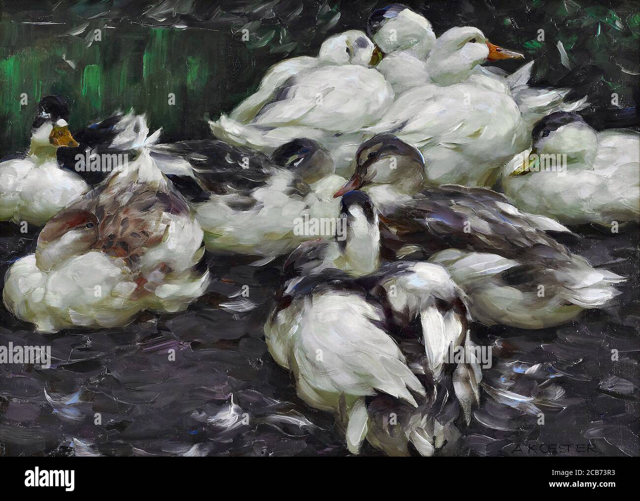 Koester Alexander - Ducks - Deutsche Schule - 19. Und Anfang des 20. Jahrhunderts Stockfoto