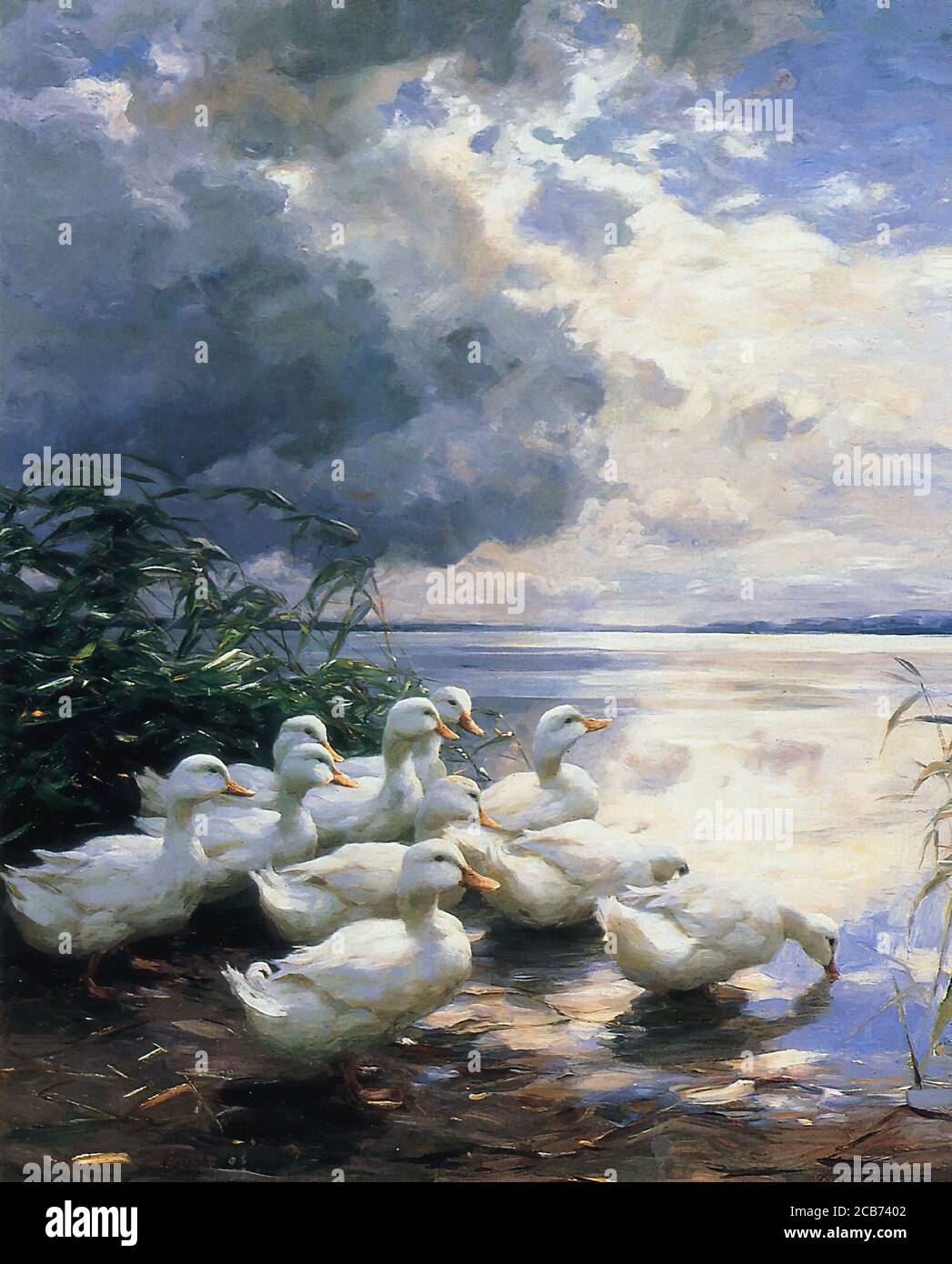 Koester Alexander - Enten am Morgen - Deutsche Schule - 19. Jahrhundert Stockfoto