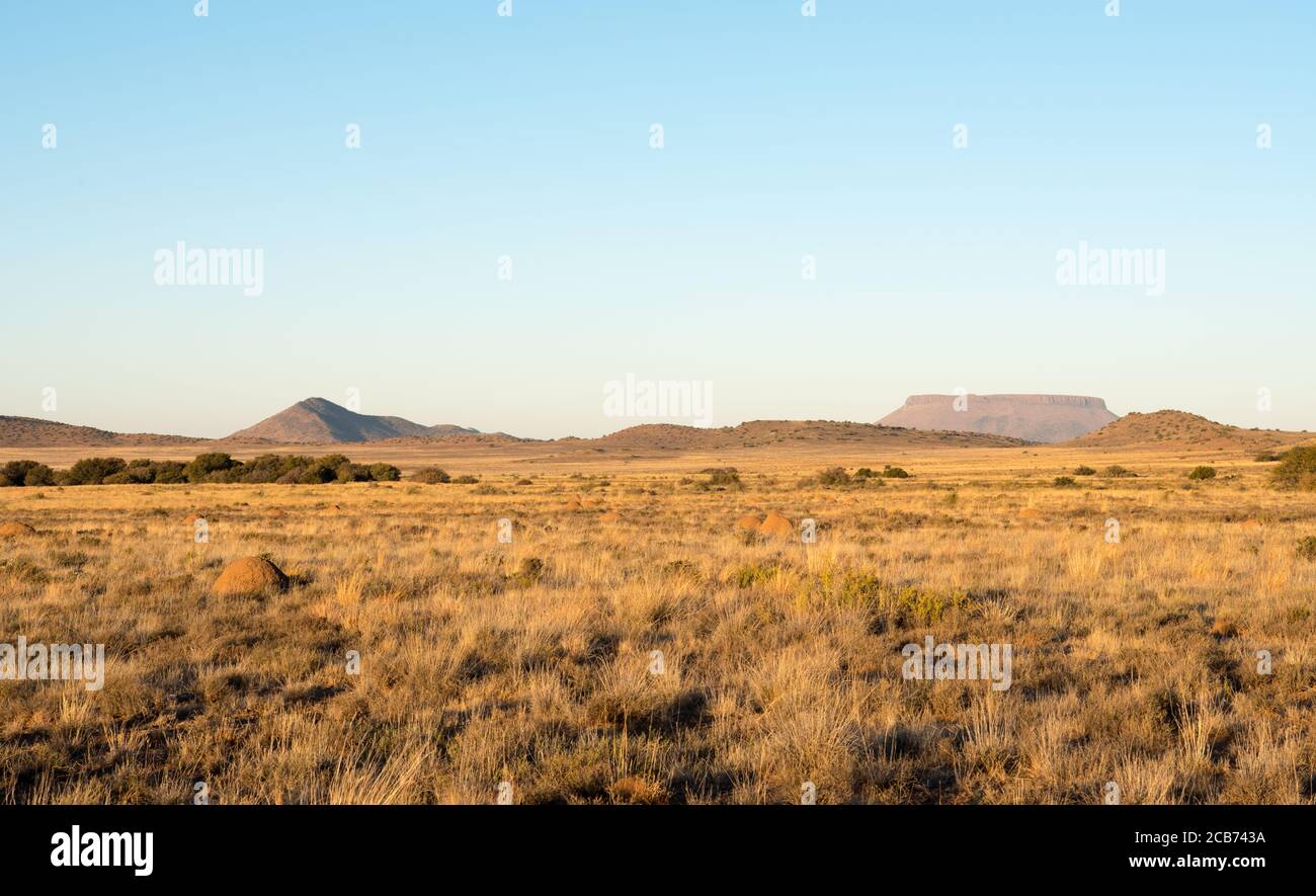 Weite offene karoo Vegetation mit Hügeln am Horizont Stockfoto