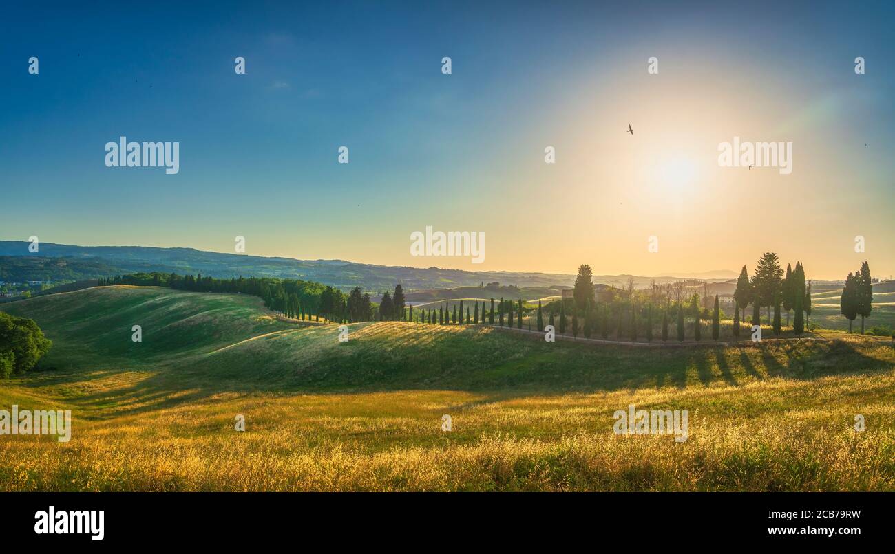 Certaldo canonica Park bei Sonnenuntergang. Sanfte Hügel Landschaft und Zypressen Baumreihe. Florenz, Toskana, Italien Stockfoto