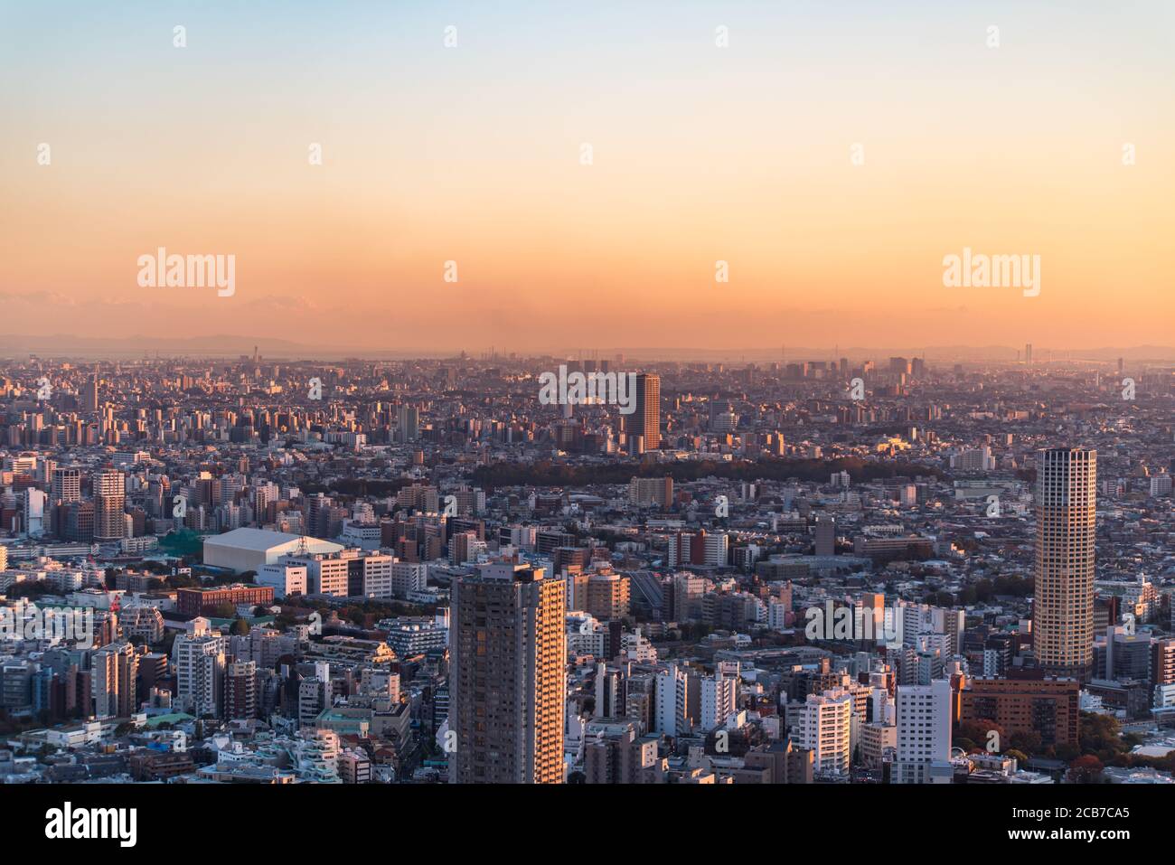 Tokio, Japan - 16. November 2019: Shibuya Scramble Square wurde im November 2019 in Shibuya, Tokio, Japan eröffnet. Auf dem Dach kann man 'Shibuya Sky' Charg nehmen Stockfoto