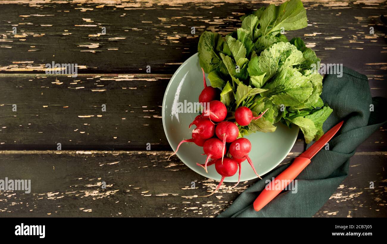 Frische und reife rote Rettich mit grünen Blättern in einem Platte Stockfoto