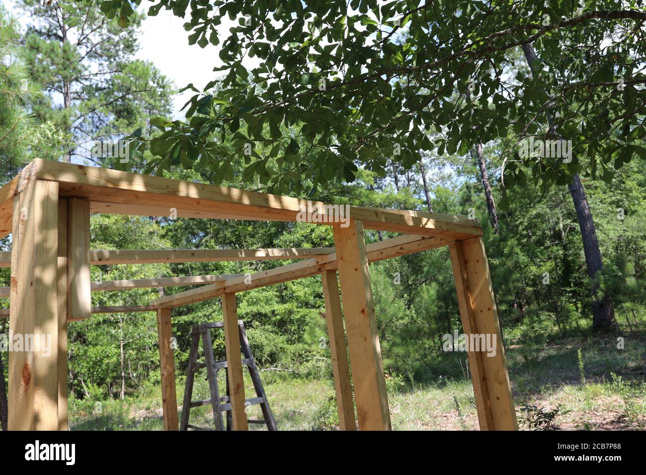 Bau einer neuen Hütte im Wald Stockfotografie Alamy