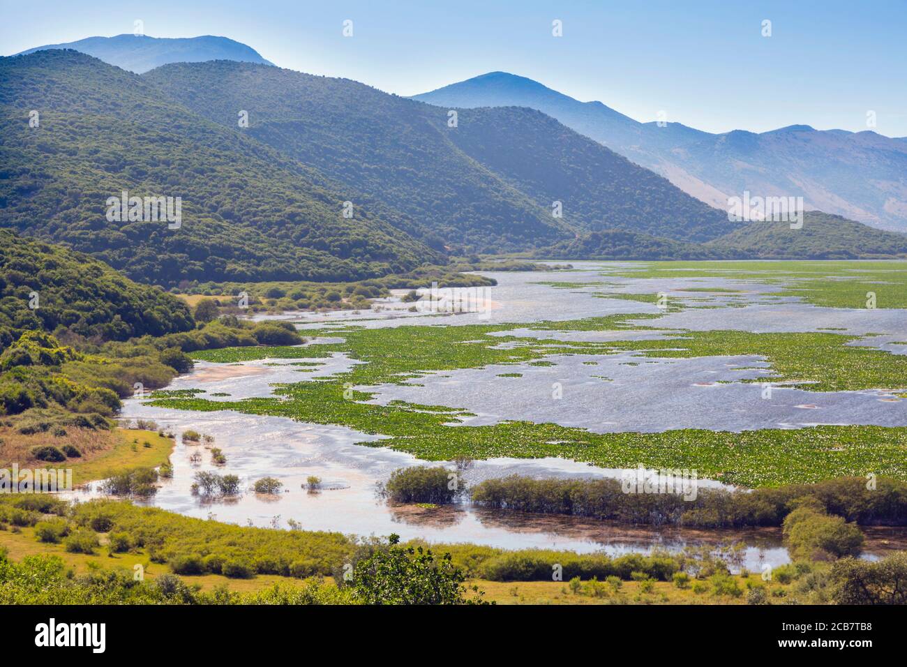 Kalodikiou See, oder Kalodiki See, in der Nähe von Parga, Epirus, Griechenland. Kalodikiou ist der See der Wasserlillies genannt. Es ist ein geschütztes Biotop und Heimat Stockfoto