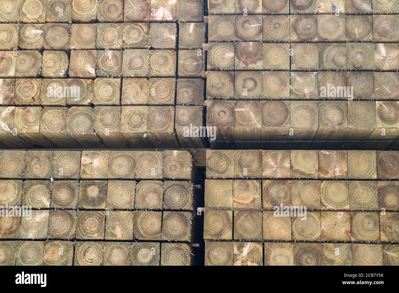 Stapel von ordentlich gestapelten hölzernen Zaunpfosten (ca. 4x4 ins Quadrat), zeigt Holzringe in konzentrischen Querschnittkreisen. Für die Holzindustrie, & ordentlich Stockfoto