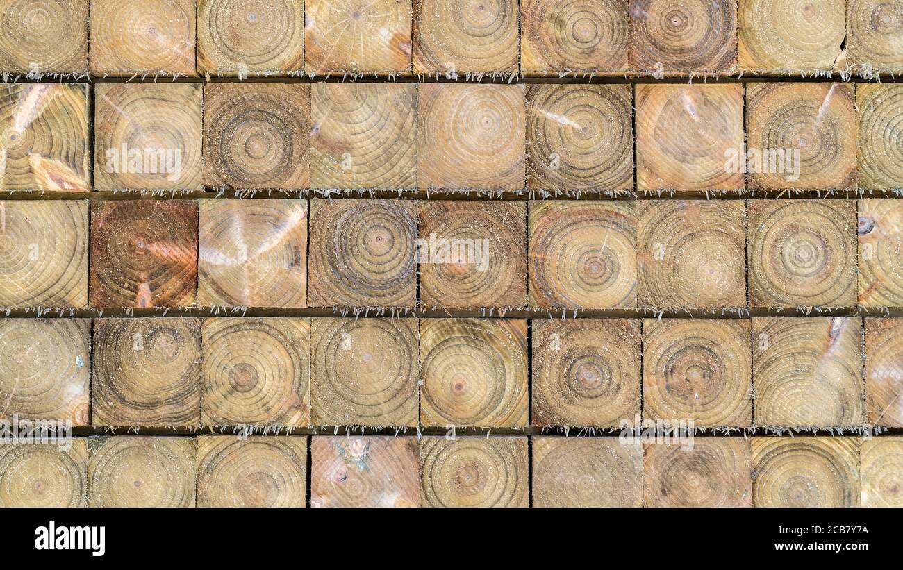 16:9 Format Stapel von ordentlich gestapelten hölzernen Zaunpfosten (ca. 4x4' Quadrat), zeigt Holzringe in konzentrischen Querschnitt Kreise. Holzindustrie. Stockfoto
