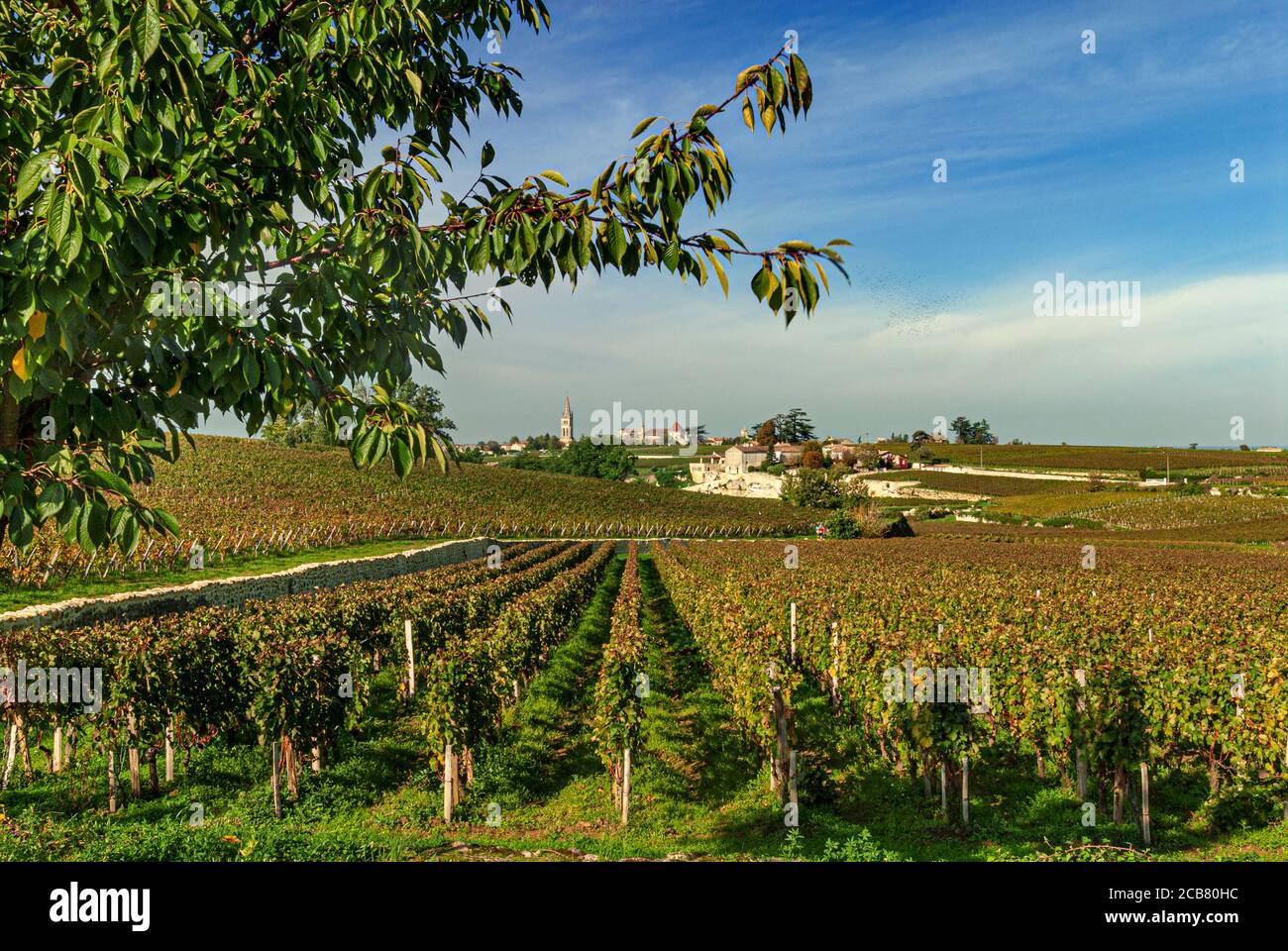 SAINT EMILION ST-EMILION Herbstweingüter vom Chateau Troplong Mondot Weinberg Nach Saint Emilion Bordeaux Frankreich Stockfoto