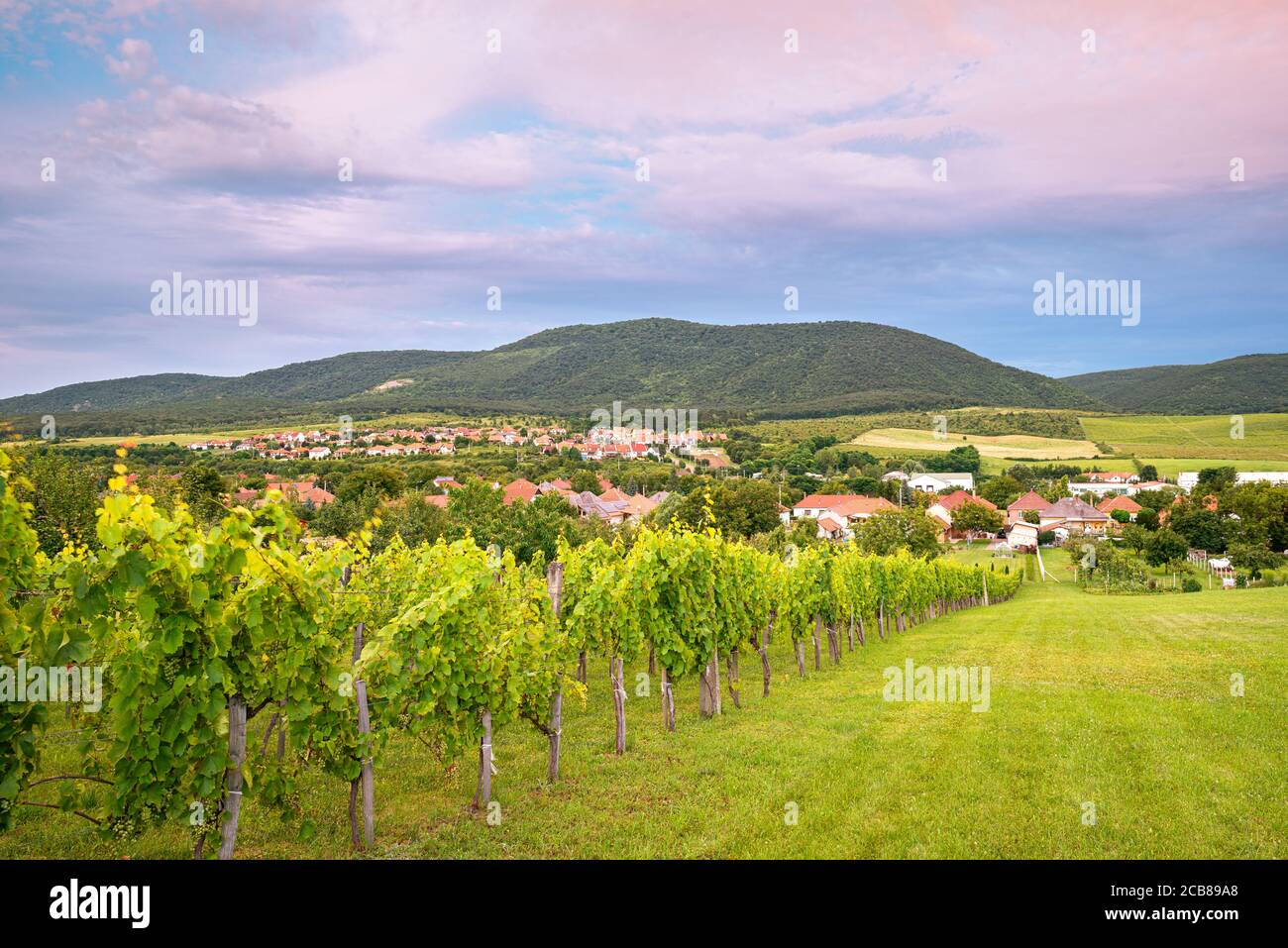 Blick auf das Dorf Felsőtárkány, in der Nähe der Stadt Eger, Ungarn. Hügel und viele Weinberge können in dieser Gegend gefunden werden. Stockfoto