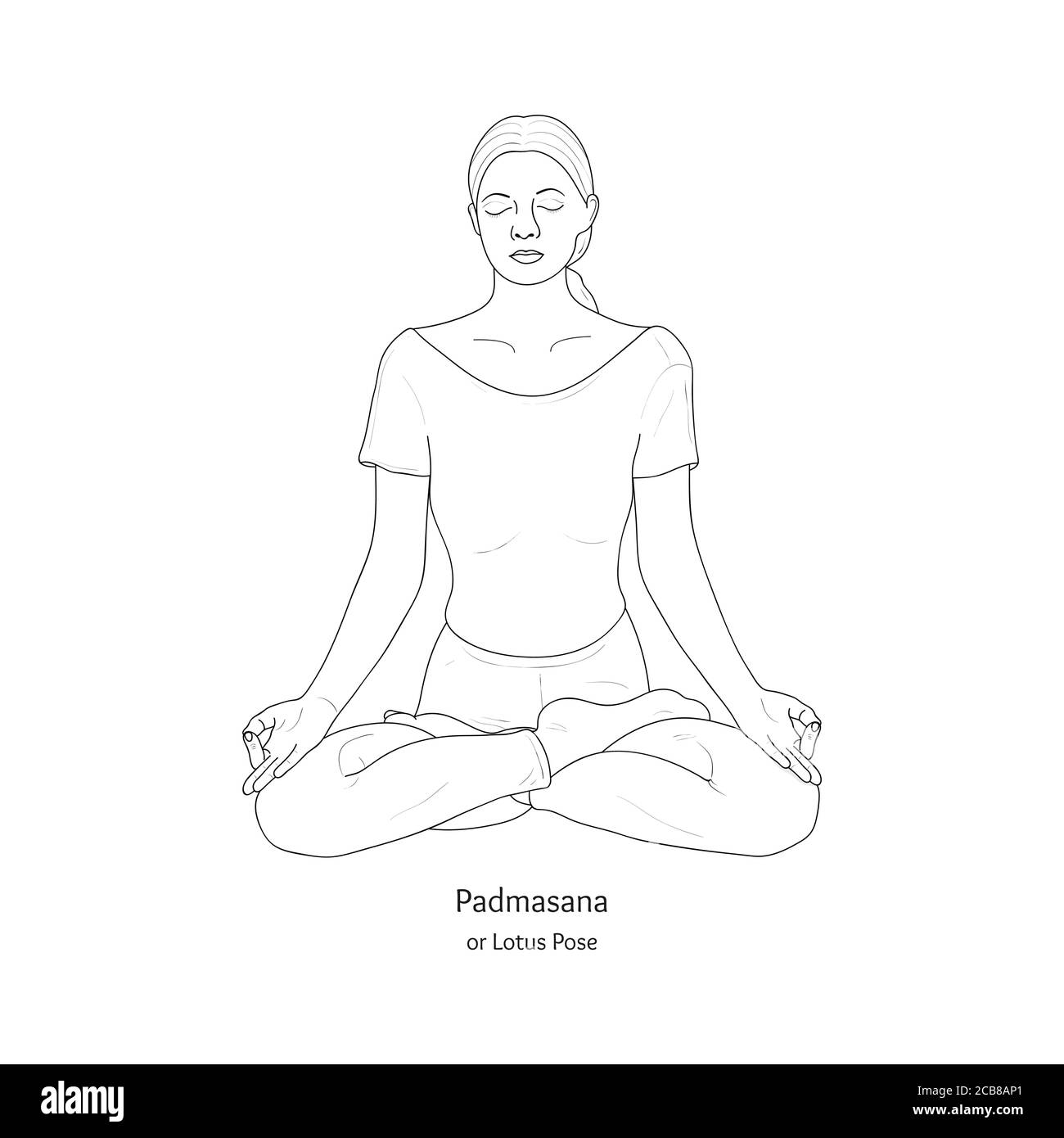 Padmasana oder Lotus Pose. Yoga-Praxis. Vektor. Stock Vektor