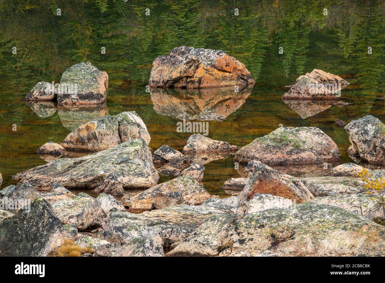 Flechten bedeckte Felsbrocken in einer Felsrutsche, Jasper National Park, Alberta, Kanada Stockfoto