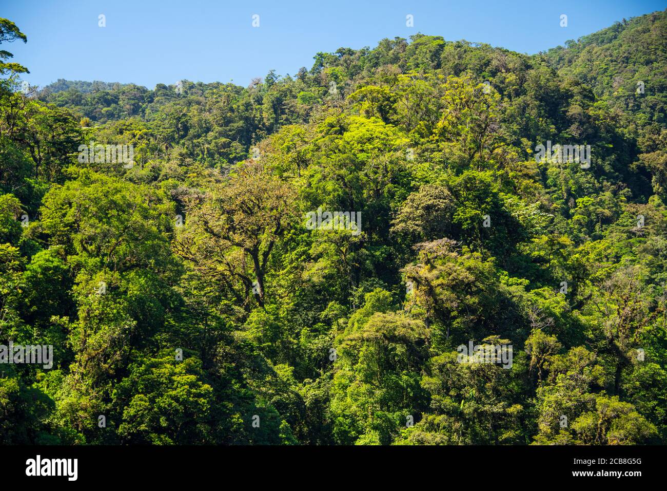 Bergrücken und Wald, Catarata del Toros, Alajuela, Costa Rica Stockfoto