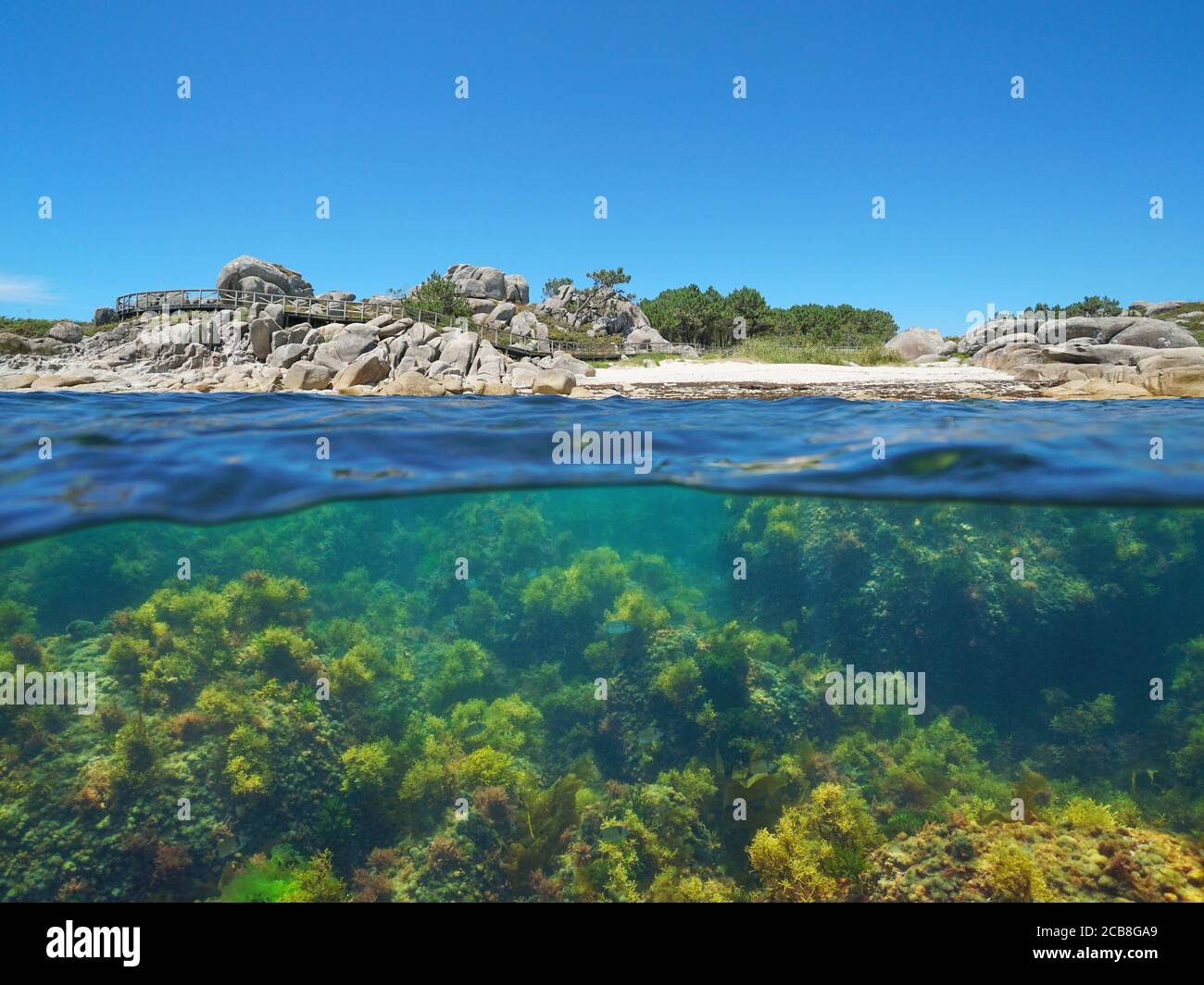 Strand mit Felsen an der Küste und Seeträuchern unter Wasser, Split Blick über die Wasseroberfläche, Atlantik, Spanien, Galizien, Provinz Pontevedra Stockfoto