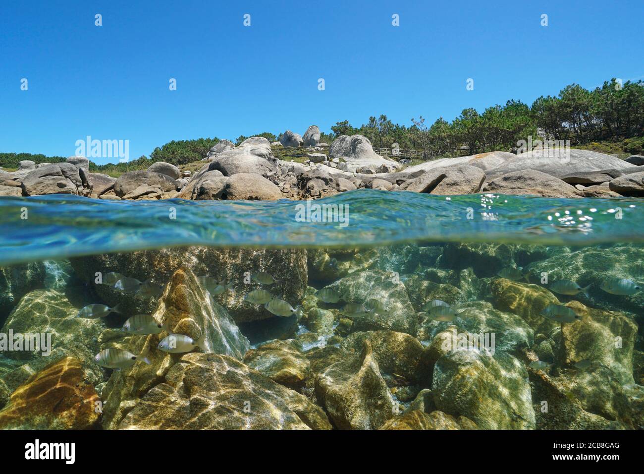 Küste mit Felsbrocken und Fischen unter Wasser, Atlantik, Spanien, Galizien, Split-Ansicht über-unter Wasser, Provinz Pontevedra, San Vicente do Grove Stockfoto