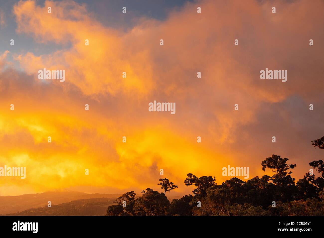 Wolkenwald Bergrücken bei Sonnenuntergang, Paraiso Quetzal, San Jose, Costa Rica Stockfoto