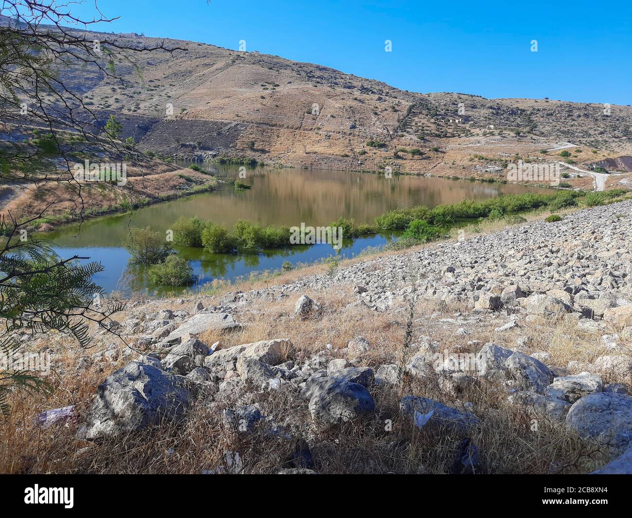 Ziglab Damm, der erste Damm in Jordanien - gegründet in den 1960er Jahren, und es ist umgeben von Ackerland und Beduinen Ziegenhirten Stockfoto