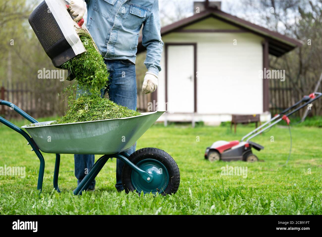 Ausgießen von geschnittenem Gras aus einem Mähbehälter in ein Schubkarre Stockfoto