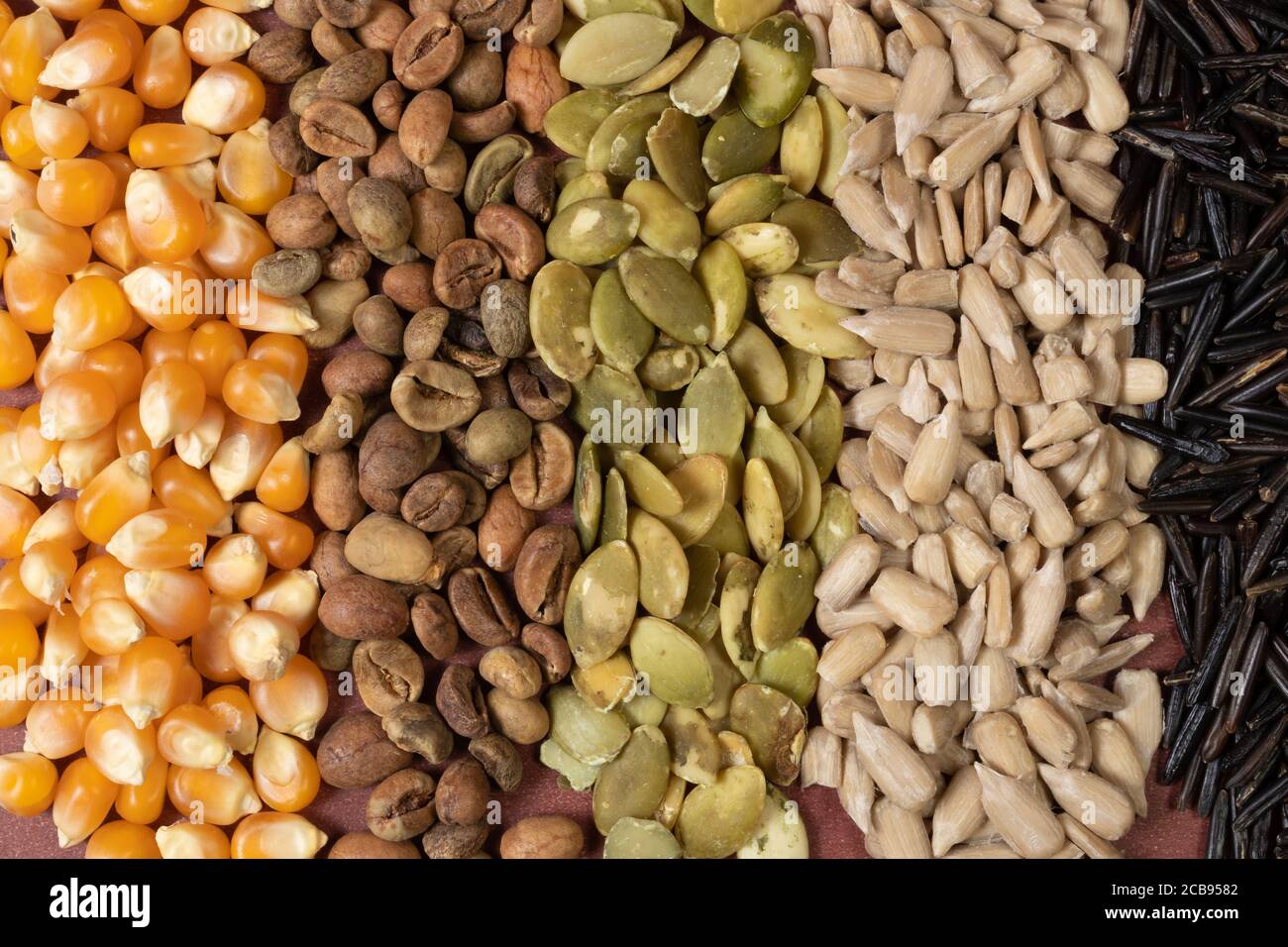 Verschiedene Getreide und Samen - Mais, Kürbis, Kaffee, Quinoa, Pfeffer, Reis, Hirse Sonnenblume - auf einer braunen Oberfläche Stockfoto