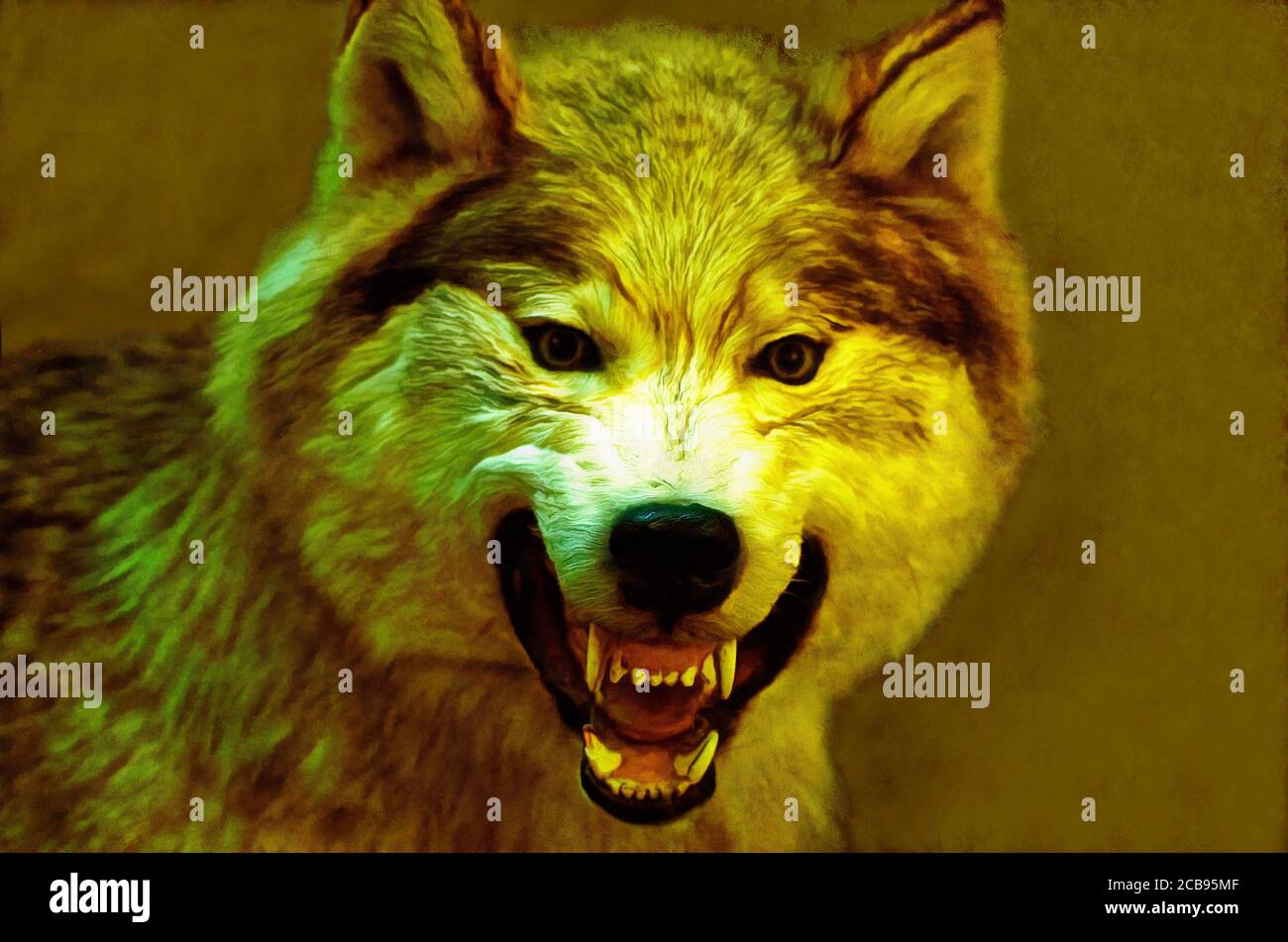 Illustrationen Wolf, Wolf, grauer Wolf, gewöhnlicher Wolf, Canis lupus, Arten, fleischfressende, Säugetiere, Caniden, Canidae, Stockfoto