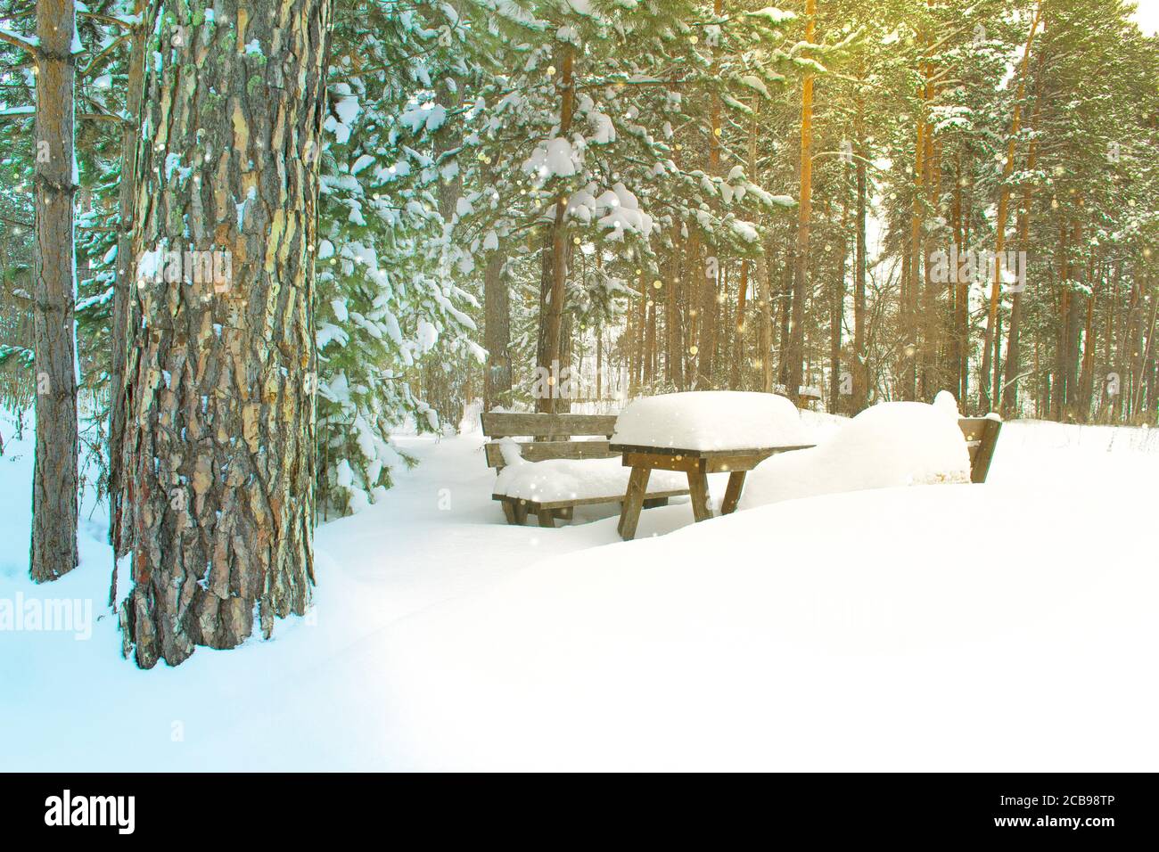 Bänke und ein Tisch unter einer Schneekappe in einem Winter Kiefernwald. Weihnachtskarte mit Winterstimmung Stockfoto