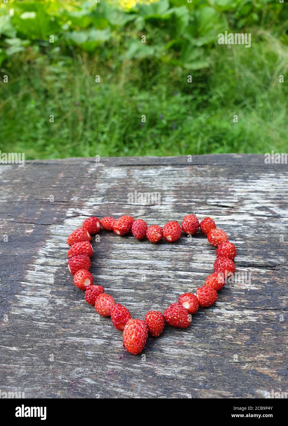 Frische rote Erdbeeren in Form von Herzmuster, auf verzweifeltem Holz. Herzkonzept symbolisiert die Liebe zu Natur und Umwelt. Frisch gepflückt f Stockfoto