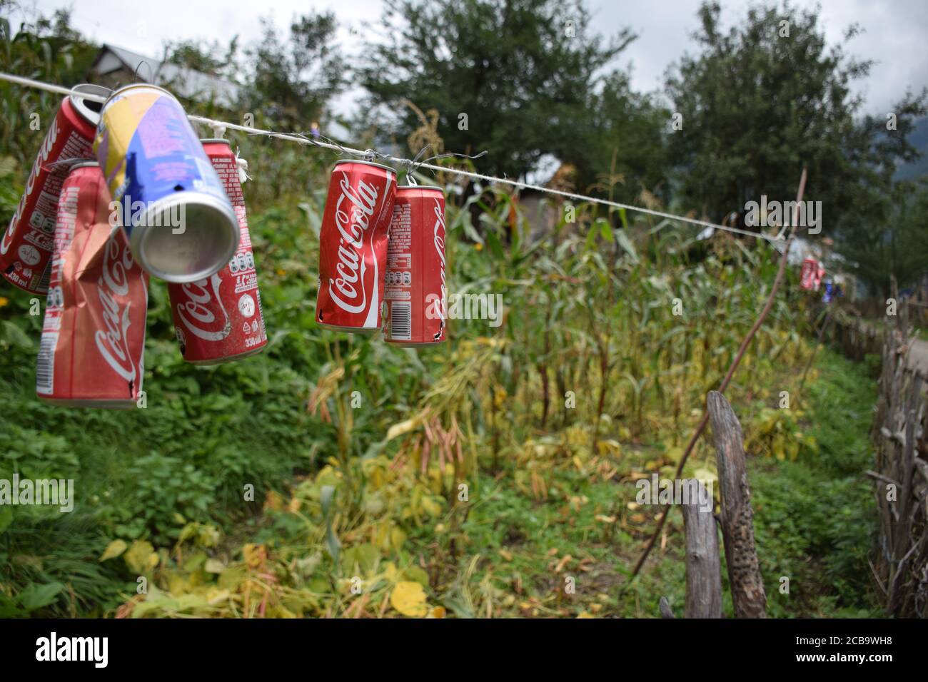Valbone / Albanien - 15. September 2017: Coca Cola-Dosen hingen neben Kornfeldern am Seil, um Vögel abzuschrecken Stockfoto